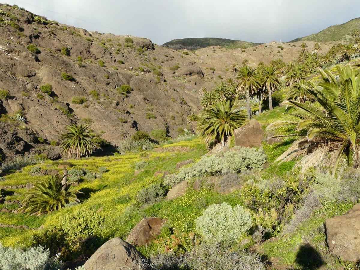 El Pirguan Holiday House, Your Oasis In La Gomera 바예에르모소 외부 사진