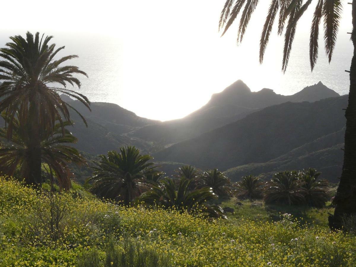 El Pirguan Holiday House, Your Oasis In La Gomera 바예에르모소 외부 사진
