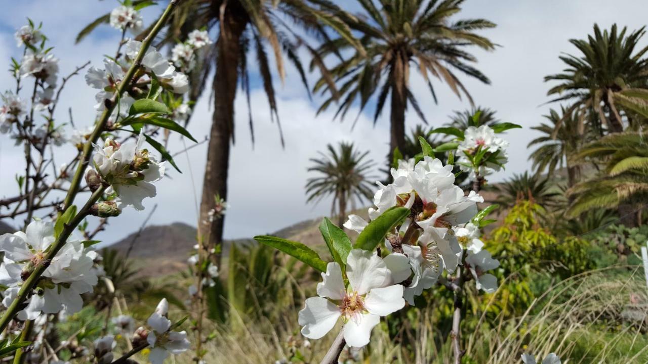 El Pirguan Holiday House, Your Oasis In La Gomera 바예에르모소 외부 사진