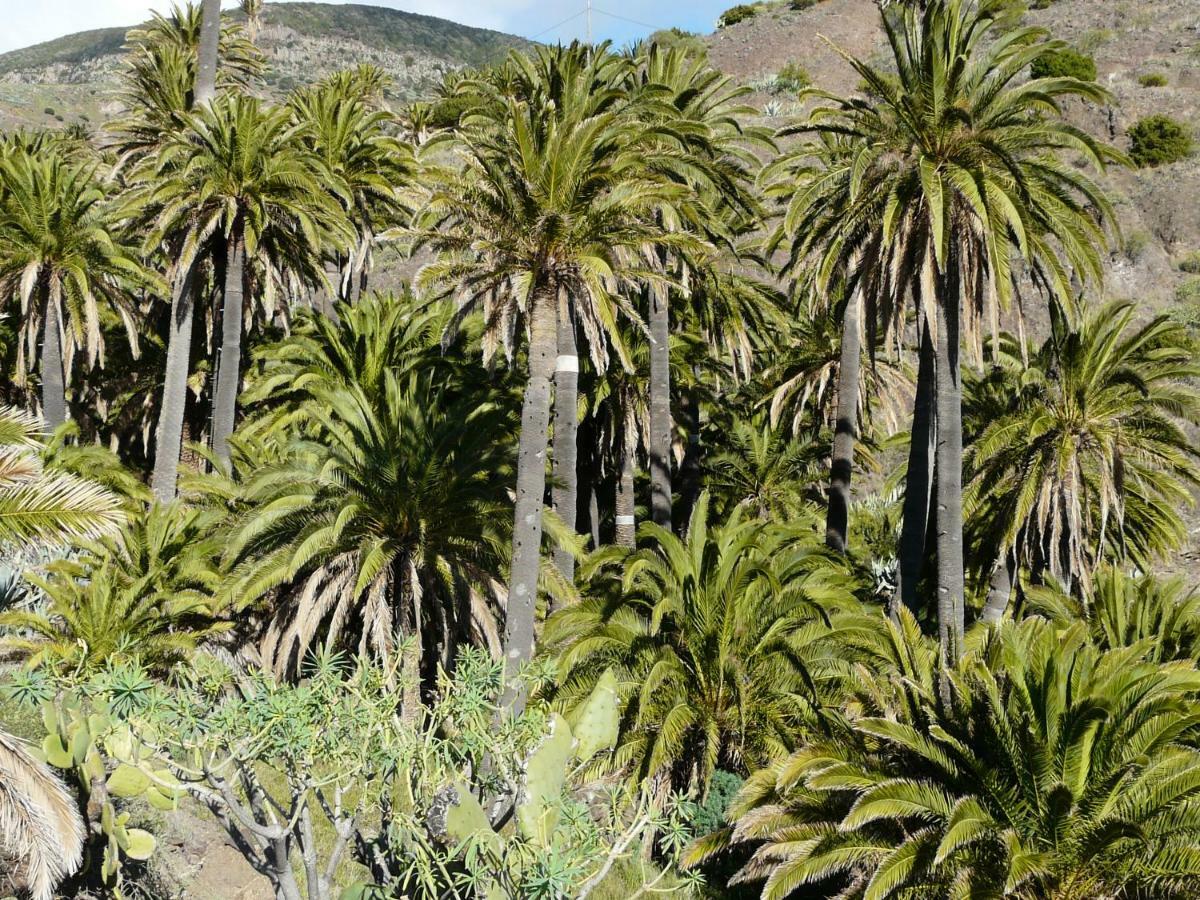 El Pirguan Holiday House, Your Oasis In La Gomera 바예에르모소 외부 사진