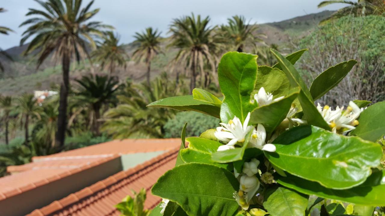 El Pirguan Holiday House, Your Oasis In La Gomera 바예에르모소 외부 사진