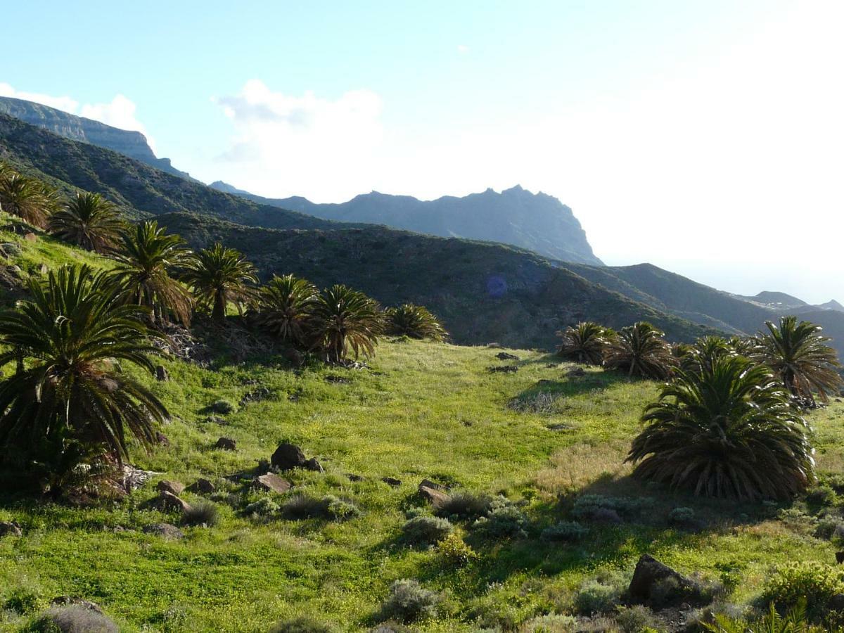 El Pirguan Holiday House, Your Oasis In La Gomera 바예에르모소 외부 사진