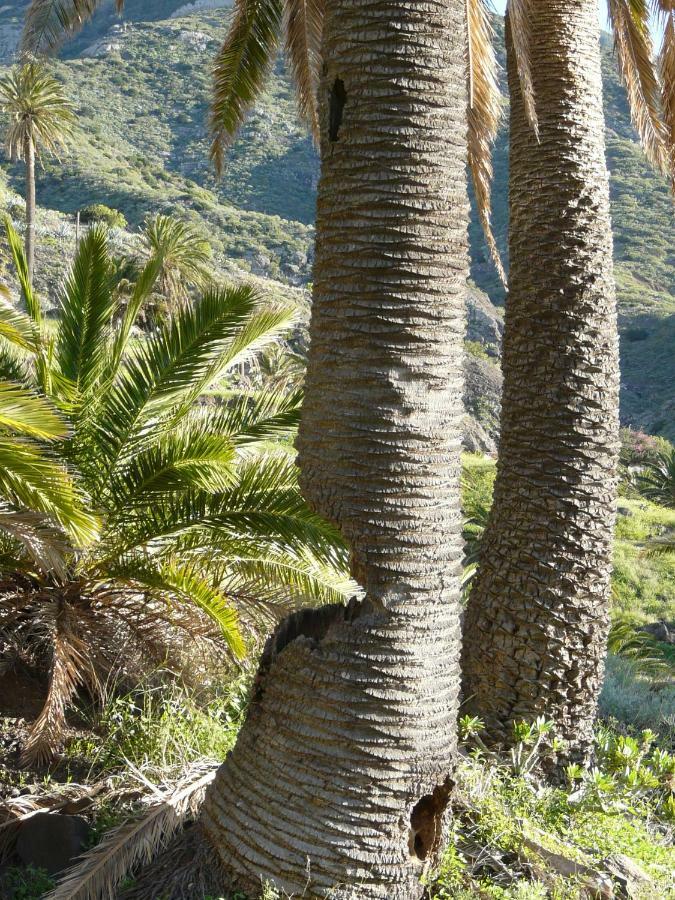 El Pirguan Holiday House, Your Oasis In La Gomera 바예에르모소 외부 사진