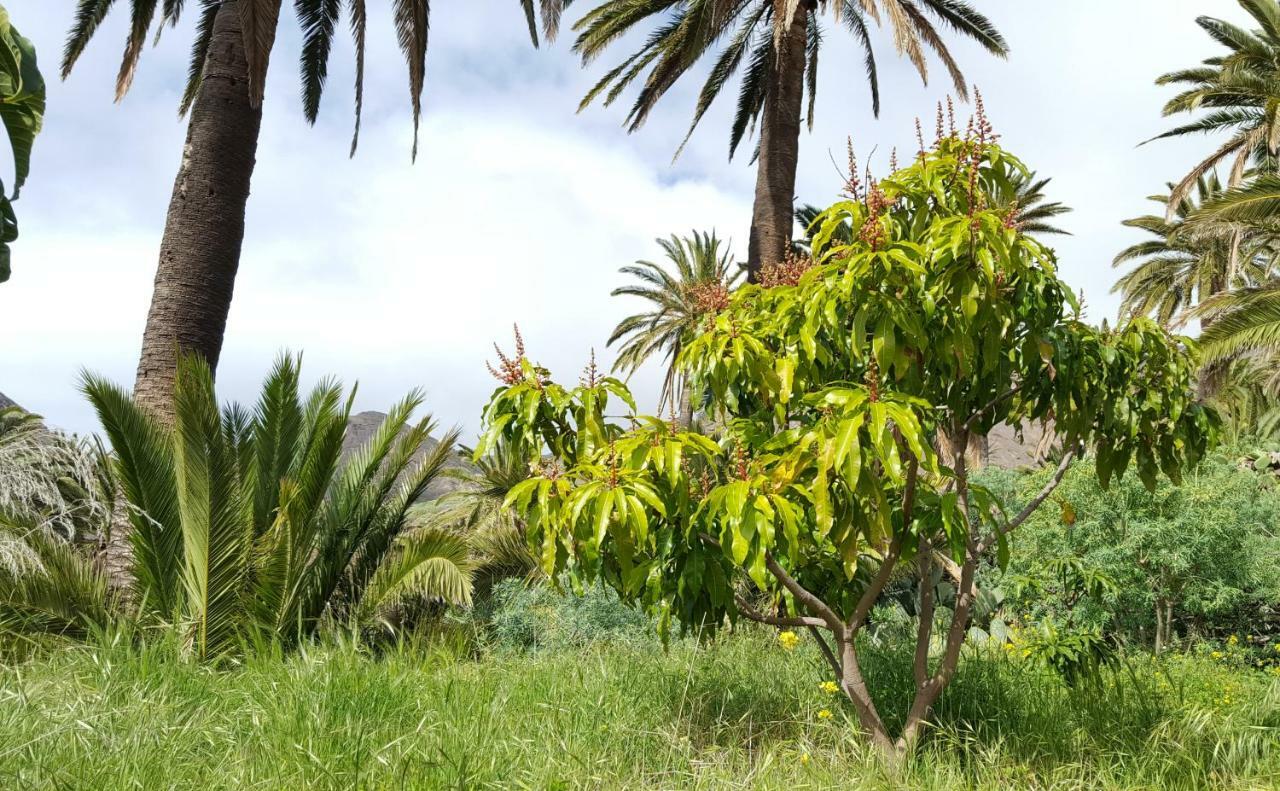 El Pirguan Holiday House, Your Oasis In La Gomera 바예에르모소 외부 사진