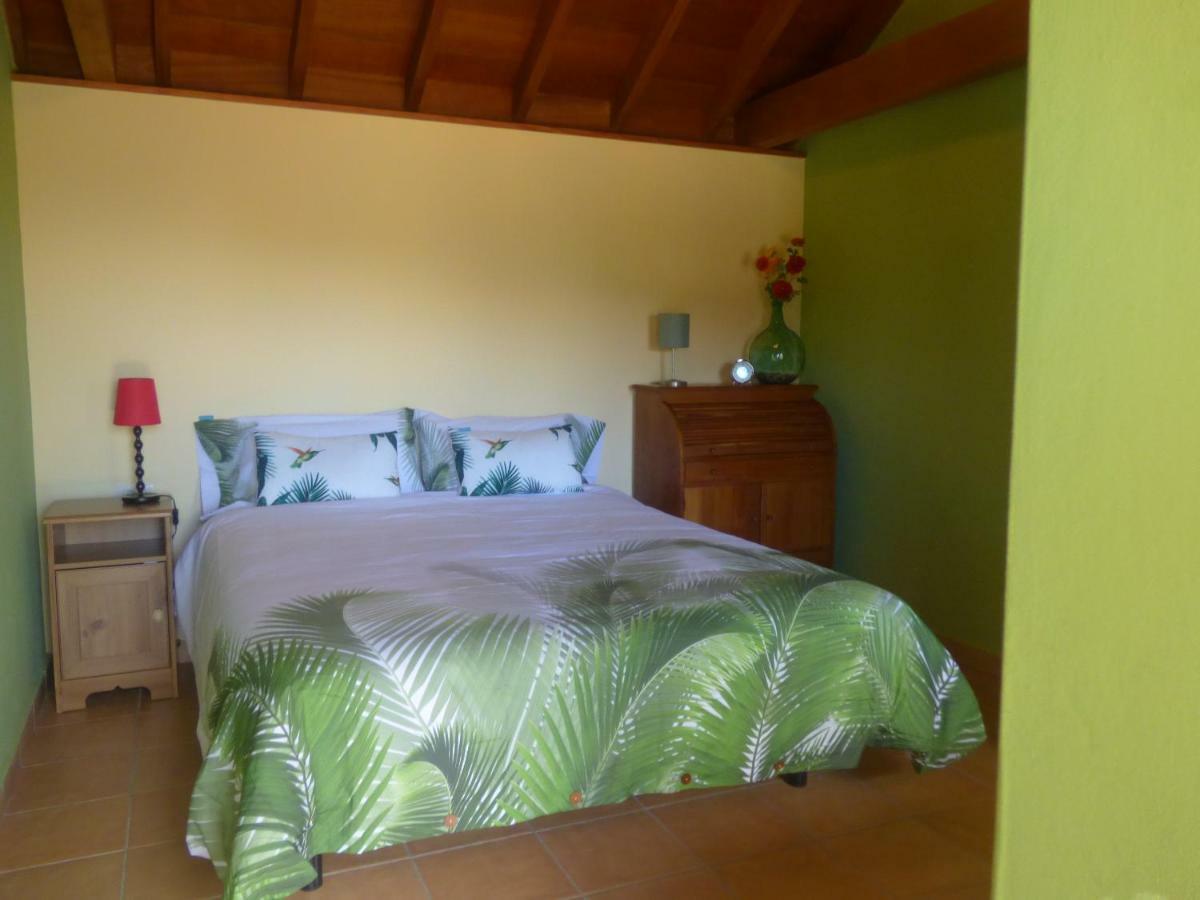 El Pirguan Holiday House, Your Oasis In La Gomera 바예에르모소 외부 사진