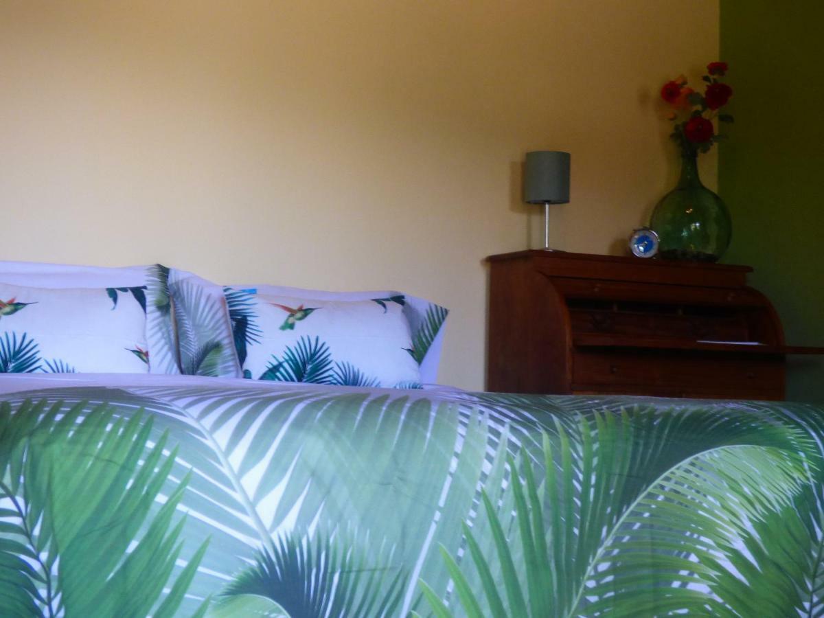 El Pirguan Holiday House, Your Oasis In La Gomera 바예에르모소 외부 사진